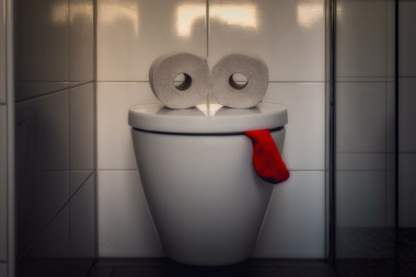 IMA NAUKA I O TOME: Evo kako da se pravilno obrišete nakon obavljenog posla u WC-u