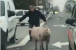 KOMEDIJA UŽIVO! Jurcanje za svinjom po Karaburmi! (VIDEO)