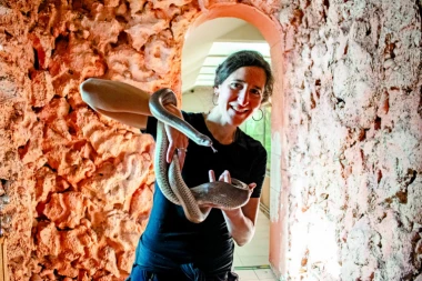 ZA NJEGA SE UDALA MARIJA, SESTRA LUKE BOJOVIĆA! Stariji je od nje 24 godine, bio je prijatelj njenog oca i SVI GA ZNATE! Brat dao BLAGOSLOV iz ZATVORA!