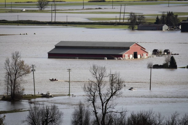 TRAGEDIJA U BRAZILU: Preživelo samo jedno dete - obilne kiše napravile kataklizmu, spasioci rade 24 sata dnevno