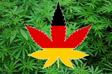 BUDUĆA NEMAČKA VLADA NAJAVILA LEGALIZACIJU MARIHUANE