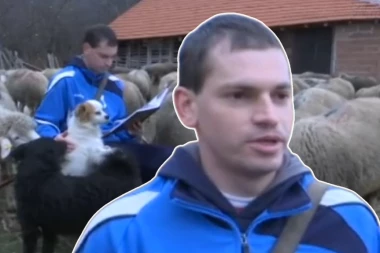 O MIŠI IZ PIROTA SRBIJA ĆE TEK PRIČATI: Bravo majstore, OVAKAV PODVIG SE NE SREĆE ČESTO!