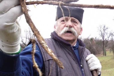 STIŽU SLAVE, A UZ TO I MAMURLUCI, GORUŠICE I KILOGRAMI: Travar Mirko ima najbolje rešenje - pravi prirodni lek