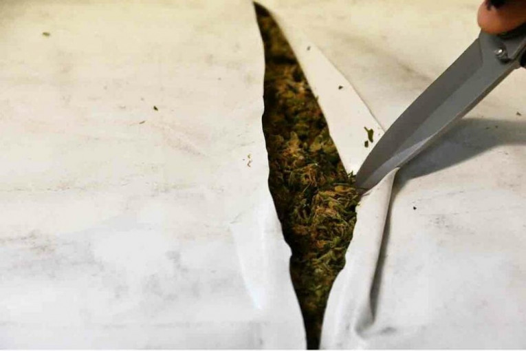 UHAPŠEN OSUMNJIČENI ZA TRGOVINU DROGOM: U rancu mu pronađeno 300 grama marihuane