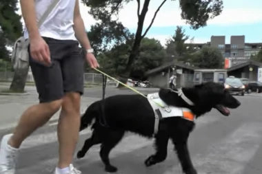 SKANDAL U SUBOTICI! Slepo dete sa psom vodičem izbačeno iz kafića, oglasio se zaštitnik građana