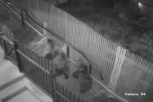 ŽENA ZA DLAKU IZBEGLA SIGURNU SMRT: Pošla da baci smeće a onda su je napala dva medveda (VIDEO)
