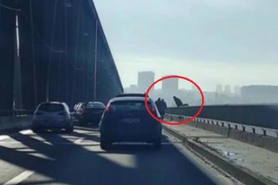 PEVAČ DUŠAN KOSTIĆ SKOČIO SA PANČEVAČKOG MOSTA, TELO NIKADA NIJE PRONAĐENO! Otkrivena misterija smrti od pre tri DECENIJE