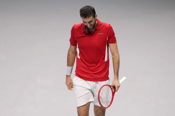 HRVAT DOBRO PAMTI: Čilić se OBRATIO Đokoviću pred polufinale Dejvis kupa!