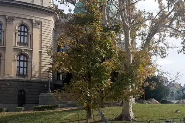 NOVI PROJEKAT U VLAJKOVIĆEVOJ: Podzemna garaža sa 284 parking mesta i arheološkim parkom!