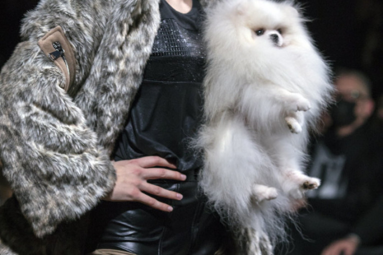 Revija Bate Spasojevića