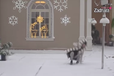 HIT SNIMAK MAJE MARINKOVIĆ: Zadrugarka se prosula k'o klikeri po imanju, SILIKONIMA se dočekala na zemlji! (VIDEO)