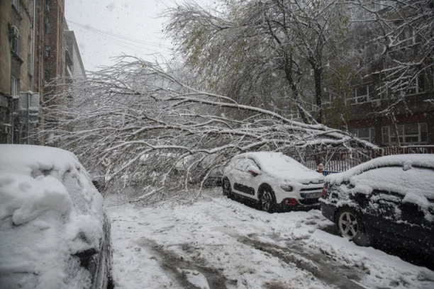 APOKALIPSA U BEOGRADU! SNEG OBARA DRVEĆE I BANDERE: Slupani automobili širom prestonice! (FOTO)