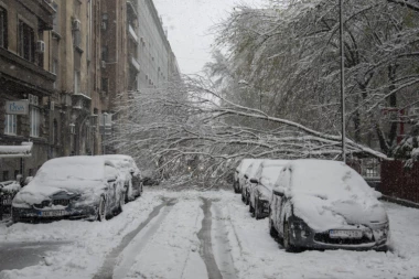NE IDITE KROZ KOSOVSKU! Saobraćaj u prekidu! PALO DRVO! (FOTO)