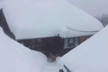 NIKO NE ZNA ŠTA JE SA RADICOM: Plašimo se da nema dovoljno hrane i drva ŽIVI POTPUNO SAMA U DRVENOJ KOLIBI