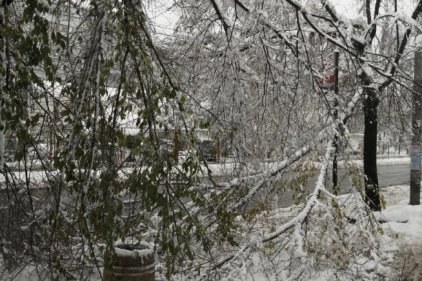 PALO DRVO NA KAMION U KREMNIMA: Saobraćaj u prekidu!