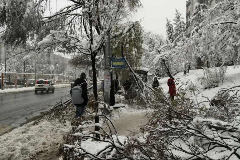 HOROR! Stablo ubilo ženu - Hitno hospitalozovana, ali nije izdržala!