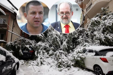 DRVO VAM JE PALO NA AUTOMOBIL, A POLICIJA NIJE URADILA ZAPISNIK: Profesor Vujanić otkrio kako ipak možete da NADOKANDITE štetu: Evo šta je potrebno da uradite