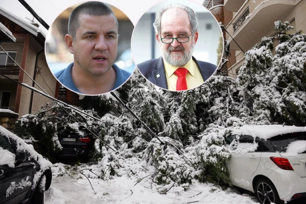 DRVO VAM JE PALO NA AUTOMOBIL, A POLICIJA NIJE URADILA ZAPISNIK: Profesor Vujanić otkrio kako ipak možete da NADOKANDITE štetu: Evo šta je potrebno da uradite