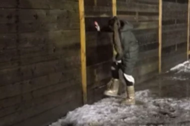 POKUŠALA DA POBEGNE IZ ZADRUGE, DALILA DOŽIVELA NERVNO RASTROJSTVO: Lomila sve po IMANJU, Dejan NE MOŽE da dođe sebi zbog NJE! (VIDEO)