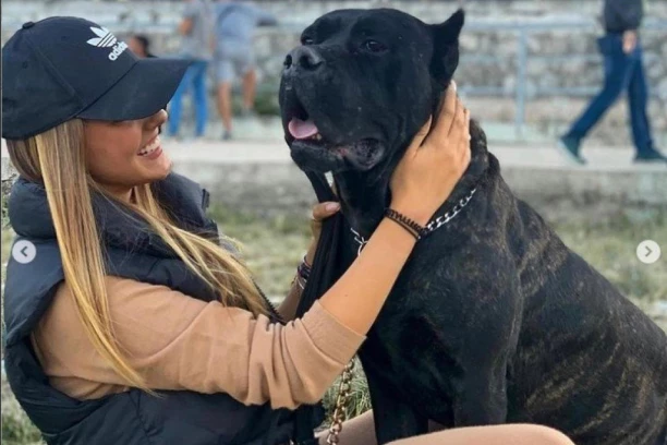 SVI TRAŽE ARESA: Ko nađe Ljubičinog psa dobija 1.000 evra, putovanja, masaže, tortu... spisak poklona raste iz sata u sat