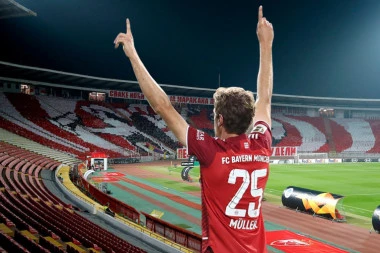 KAO TOMAS MILER: Zvezda dovela BUNDESLIGAŠKO pojačanje!