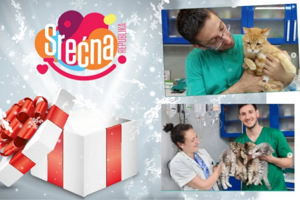 ZA SREĆNOG LJUBIMCA: Danas poklanjamo usluge veterinara