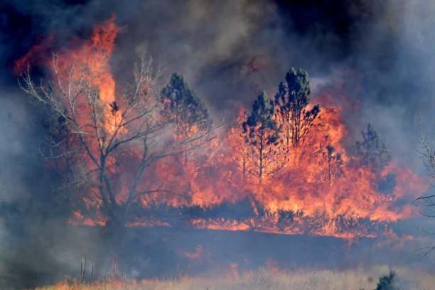 GORI AMERIKA, VATRA GUTA SVE PRED SOBOM, NA DESETINE HILJADA LJUDI U PANICI BEŽI: Biće mrtvih, ovo je sila prirode! (FOTO, VIDEO)