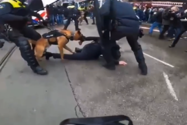 DEMOCRACY ENFOCRED WITH BATONS AND BLOODTHIRSTY DOGS! Chaos in the heart of Europe, police beat bare-handed protesters! (VIDEO)