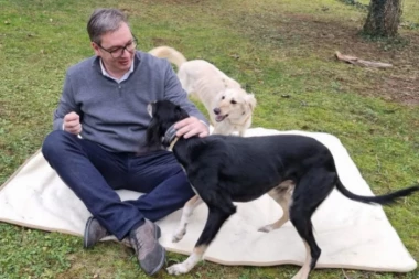 PREDSEDNIK VUČIĆ U NESVAKIDAŠNJEM IZDANJU: Sa Šarkijem i Zadom iskoristio slobodno vreme pred važne i teške odluke za Srbiju