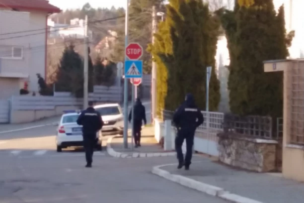 ĆERKE JELENE KARLEUŠE I DUŠKA TOŠIĆA VRIŠTE I PLAČU! Ne daju da im policija vodi tatu! DRAMA NA DEDINJU, PEVAČICA U SUZAMA!