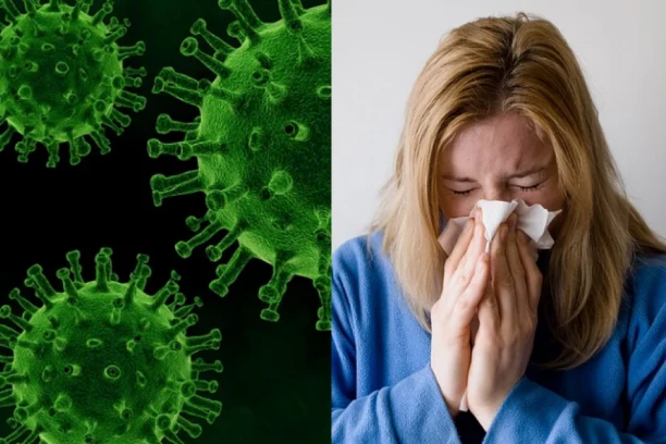 FLURONA - UBITAČNA KOMBINACIJA KORONE I GRIPA! Opasni "DUO" već kuca na vrata Srbije - pacijenti će imati poseban tretman!