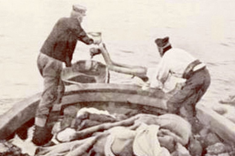 Prvi svetski rat Srbiji je odneo trećinu stanovništva