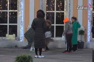 DALILA NAPUSTILA ZADRUGU? Dragojevićka otkrila sa kim je PRIČALA po izlasku! (VIDEO)