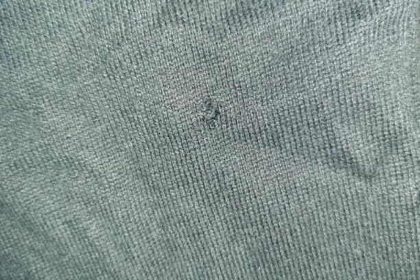 DŽEMPER BUŠAN, AL' VRAĆANJA NEMA! Naša čitateljka sa Golije ogorčena na "N sport"!