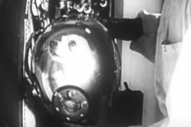 ZAMOLILA SAM JE DA NAM OPROSTI I PLAKALA DOK SAM JE POSLEDNJI PUT MAZILA: Tajna o Lajkinom  životu u SVEMIRU uznemirila je SVET