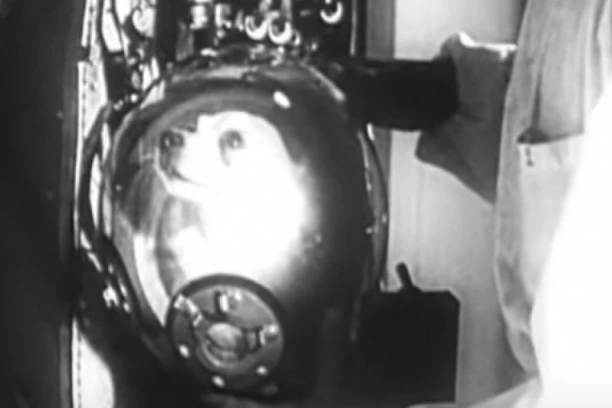 ZAMOLILA SAM JE DA NAM OPROSTI I PLAKALA DOK SAM JE POSLEDNJI PUT MAZILA: Tajna o Lajkinom  životu u SVEMIRU uznemirila je SVET