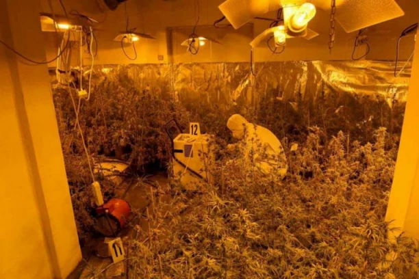 U OBRENOVCU RAZOTKRIVENA VELIKA LABORATORIJA DROGE! Zaplenjeno 60 kg narkotika i municija, osumnjičene čeka tužilaštvo