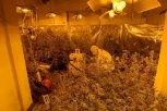 U OBRENOVCU RAZOTKRIVENA VELIKA LABORATORIJA DROGE! Zaplenjeno 60 kg narkotika i municija, osumnjičene čeka tužilaštvo