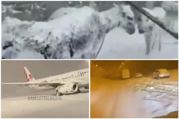 OKOVANI LEDOM, ŽIVOTINJE SE ŽIVE SMRZLE, AVIONI BLOKIRANI U SMETOVIMA! Zemlja koja je poznata po toplom moru, suočena sa ZIMSKOM KATASTROFOM!