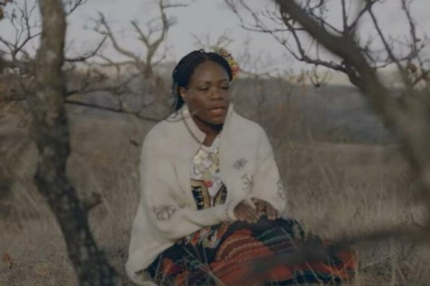 OGLASILE SE STELA I POVERENICA: Devojku iz Afrike rasisti napali zbog SRPSKOG KOLA i pesmama o KOSOVU (VIDEO)