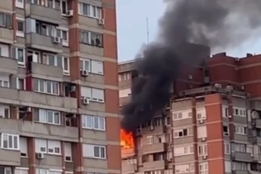 POŽAR NA NOVOM BEOGRADU: Vatrogasci sprečili tragediju