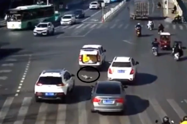 MALO DETE ISPALO IZ GEPEKA! Zaustavljen saobraćaj na auto-putu! MAJKA U ŠOKU! (VIDEO)