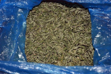 VELIKA ZAPLENA MARIHUANE U BEOGRADU: Pronađeno 30 kilograma droge - sve spakovano i spremno za rasturanje