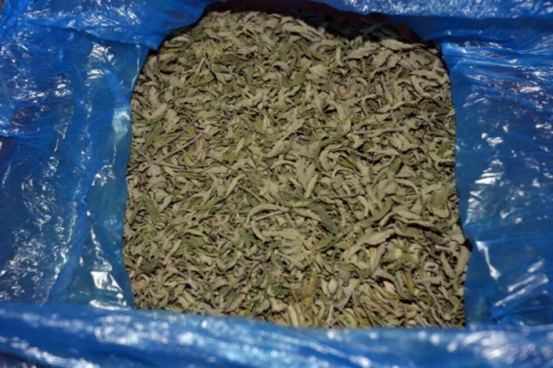 NOVA ZAPLENA MARIHUANE: Droga spakovana u plastičnim posudama bila spremna za rasturanje (FOTO)