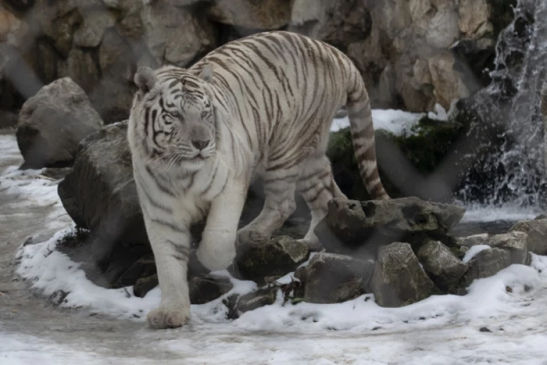NEPOZNATE PRIČE VRTA DOBRE NADE: Zavirili smo u skrivene kutke Beogradskog zoološkog vrta