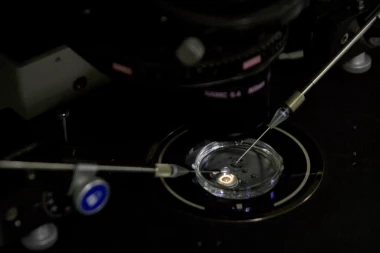 ISPRAVKA: Ruska vojska nije u Ukrajini otkrila biolaboratorije za proizvodnju biološkog oružja!