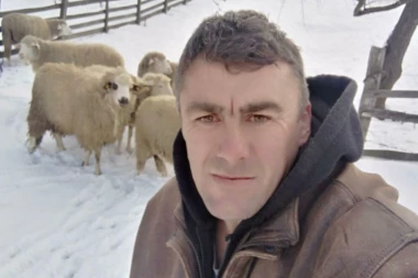 OGLAS KOJI JE UZDRMAO SRBIJU NIJE DAO REZULTAT! Milan Tomić još nije našao ženu! SVE HOĆE DA SE DRUŽE, ALI NIJEDNA NEĆE U ŠTALU!