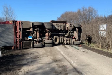 PREVRNUO SE KAMION SA STOKOM! Opšti haos na putu između Srbobrana i Malog Iđoša, POZNATO ZBOG ČEGA JE DOŠLO DO NESREĆE!