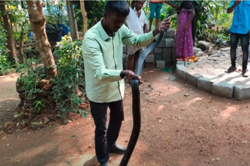 SNIMAK KOJI LEDI KRV U ŽILAMA! Ono što je usledilo niko nije očekivao, ljudi su u šoku bežali, on se grčio po podu, a onda je krenula i pena na usta! (VIDEO)