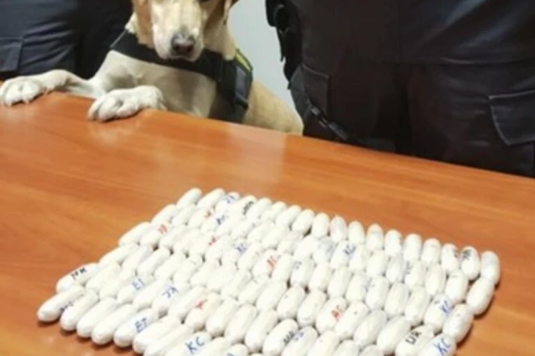 PAS MU DOŠAO GLAVE! Uhapšen Srbin na granici između Italije i Francuske!